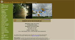 Desktop Screenshot of bloomsburynewjersey.com
